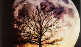 红色的月亮漫画,红色月亮漫画中的神秘幻境